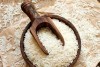 اطلاعیه مهم وزارت جهاد کشاورزی درباره ثبت سفارش برنج و روغن